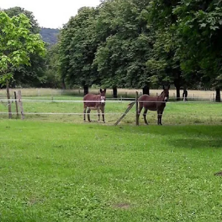 Domaine De Ferienhaus *